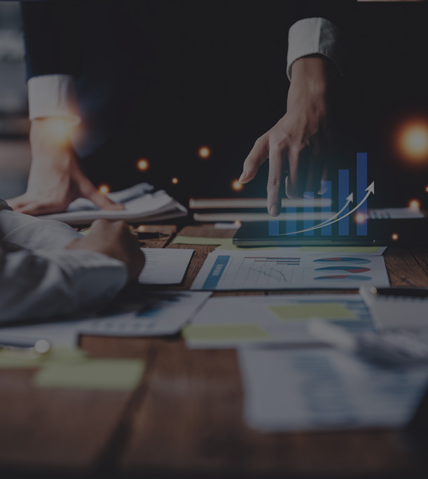 INVESTMENT MANAGEMENT